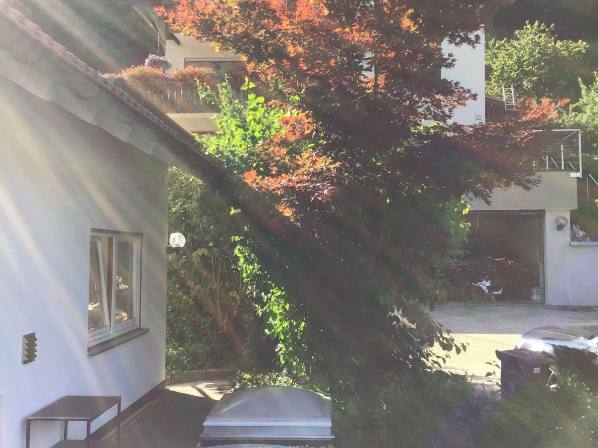 Ferienwohnung Am Eiberg 바드윌드바드 외부 사진